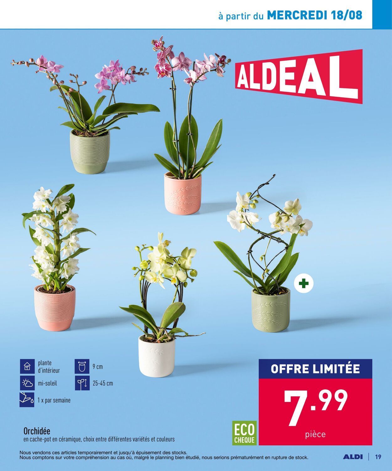 Folder Aldi 16.08.2021 - 21.08.2021