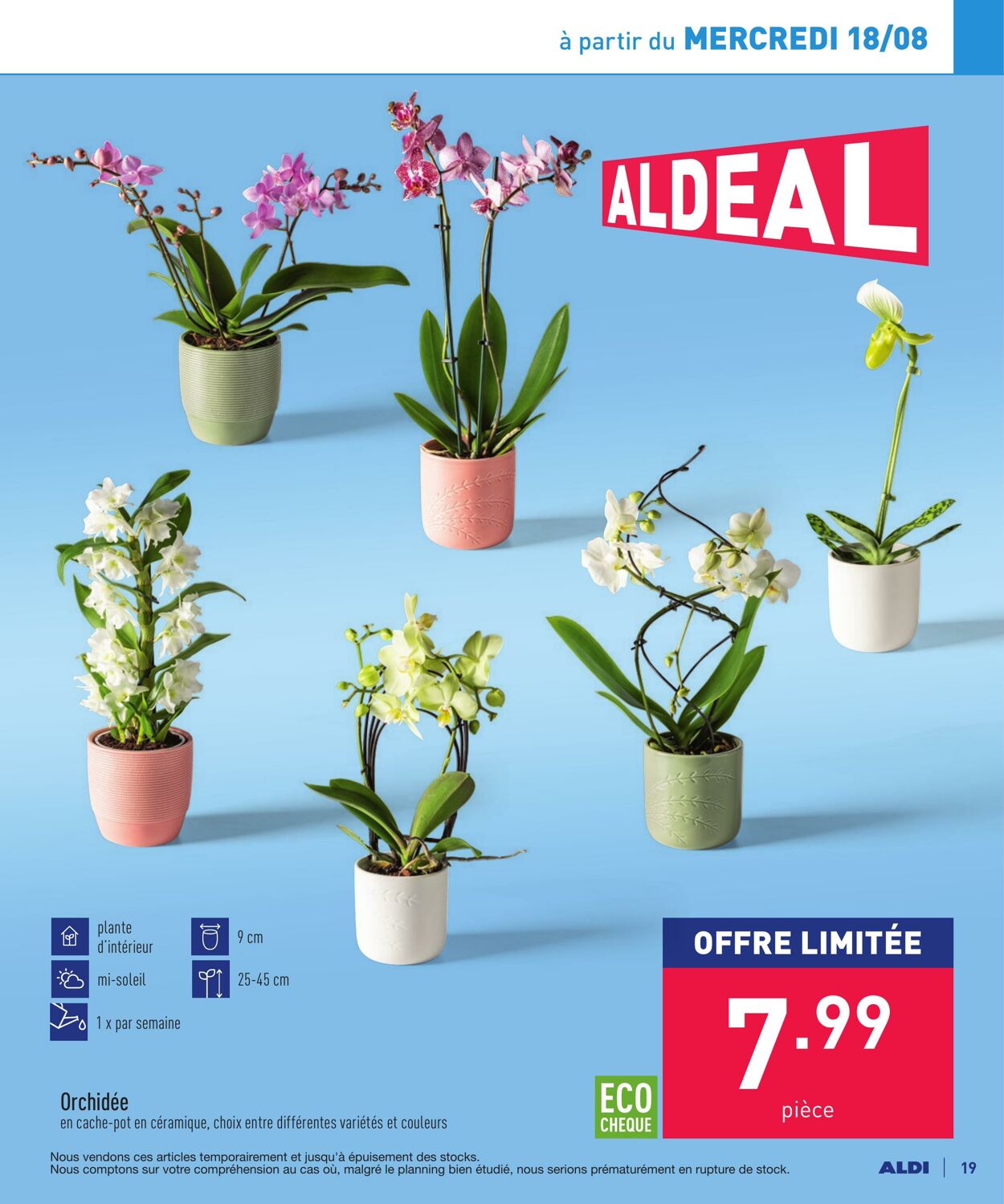 Folder Aldi 16.08.2021 - 21.08.2021