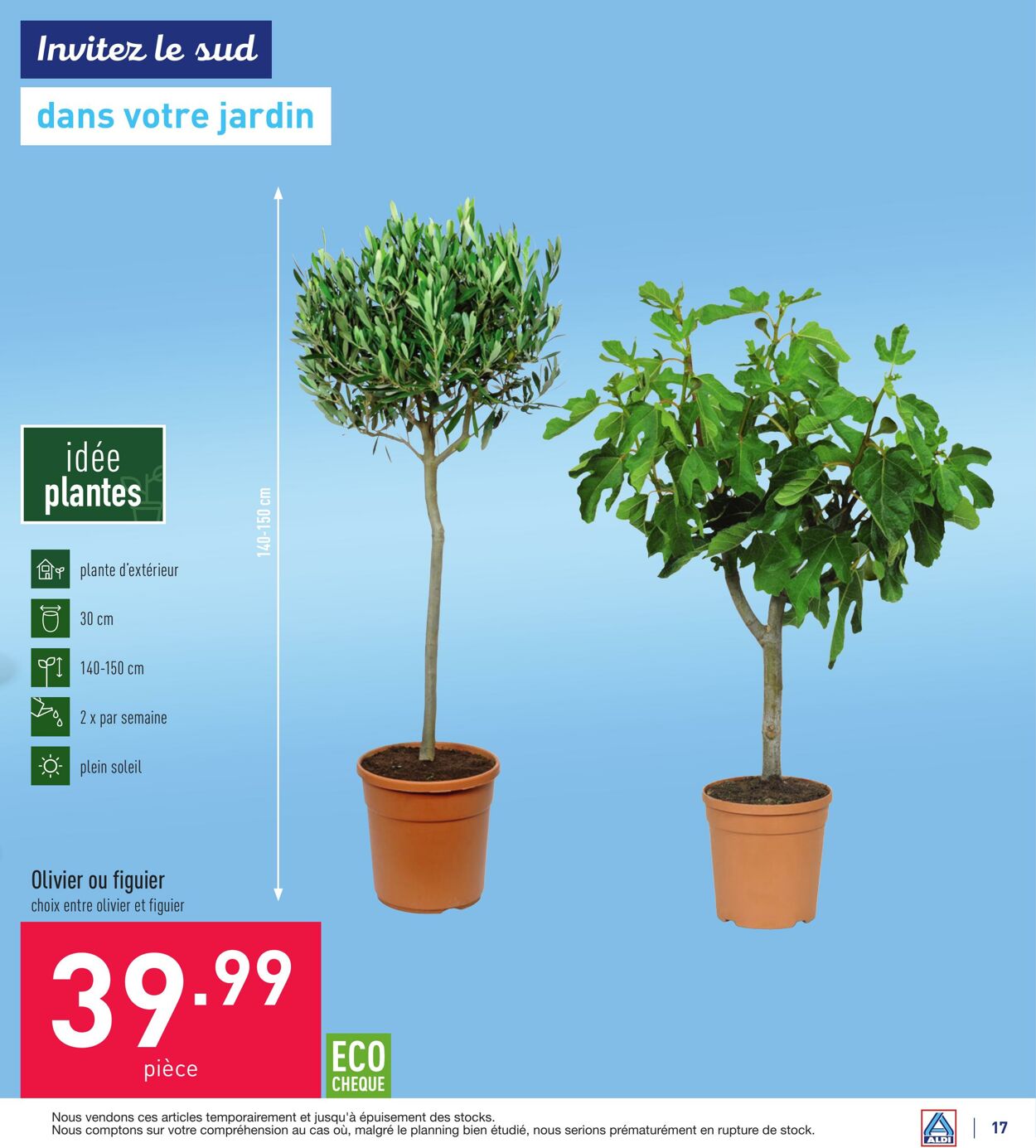 Folder Aldi 20.06.2022 - 01.07.2022