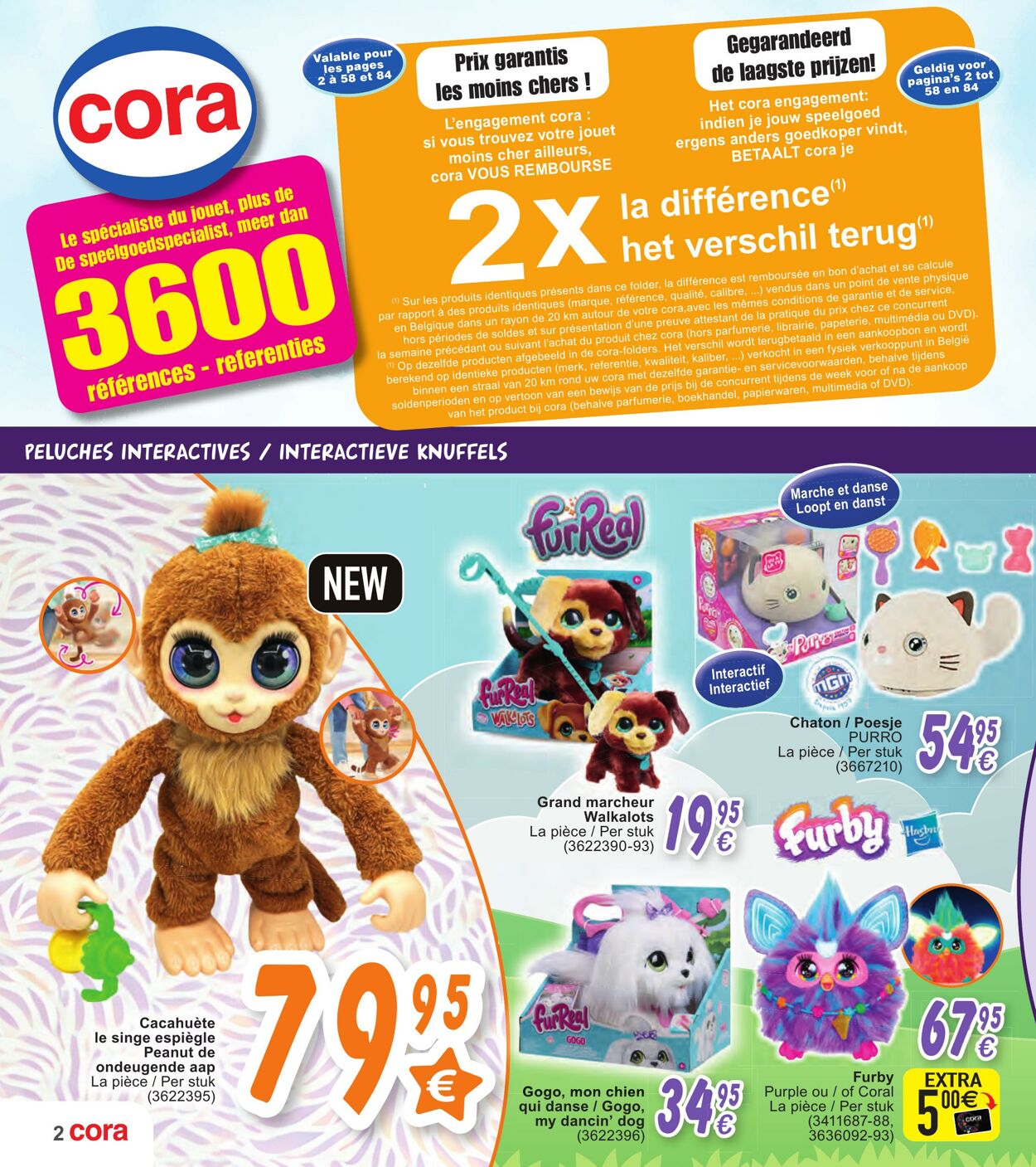 Folder Cora 15.10.2024 - 09.12.2024