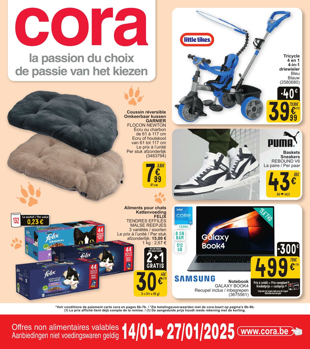 Folder Cora 14.01.2025 - 27.01.2025