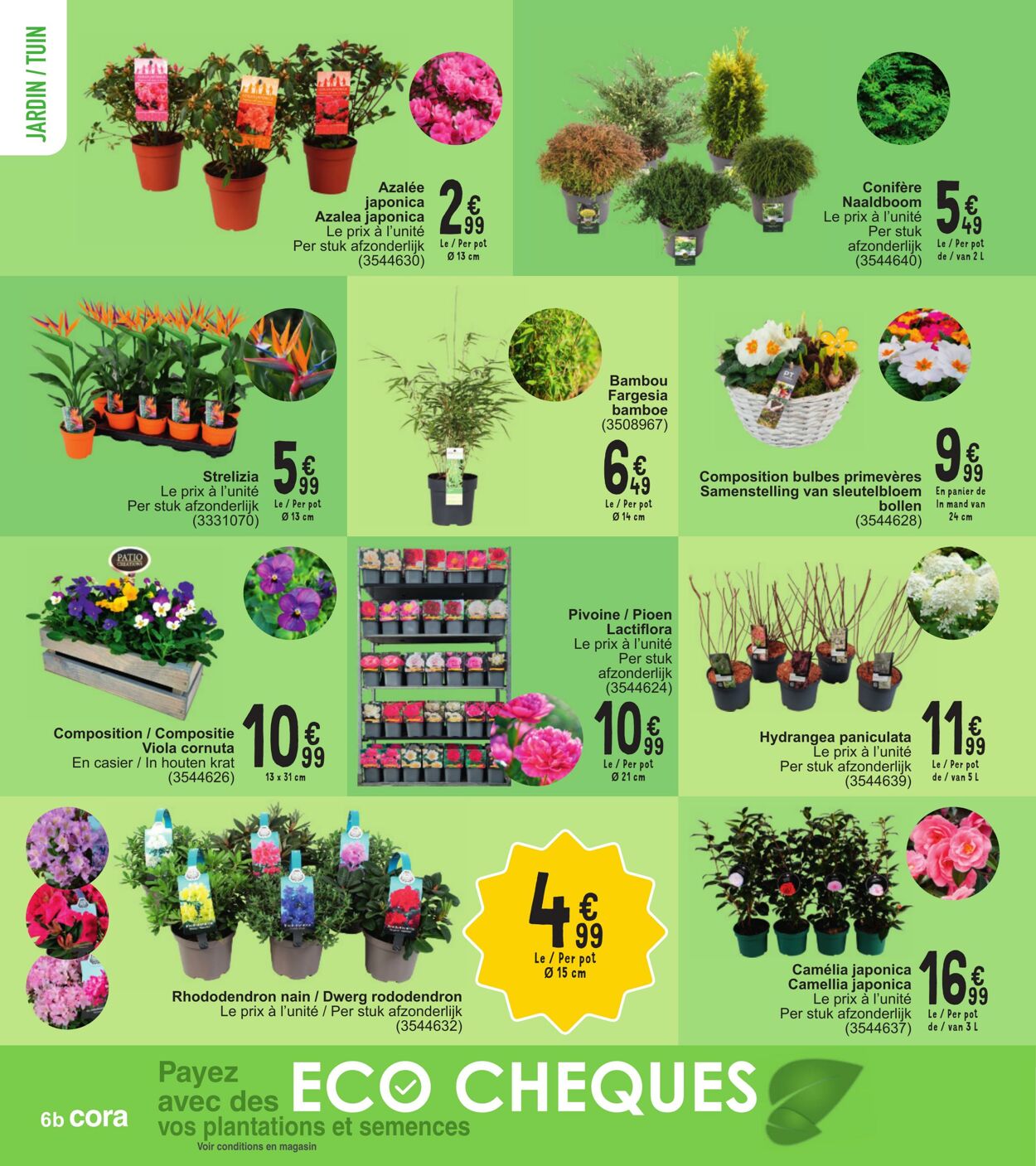 Folder Cora 05.03.2024 - 18.03.2024