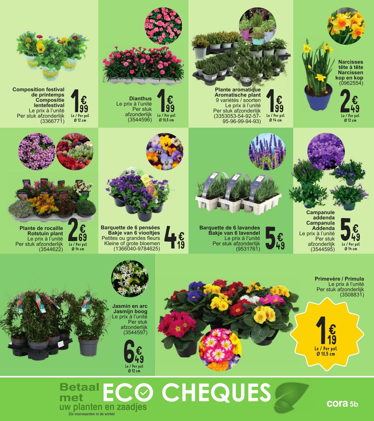 Folder Cora 05.03.2024 - 18.03.2024