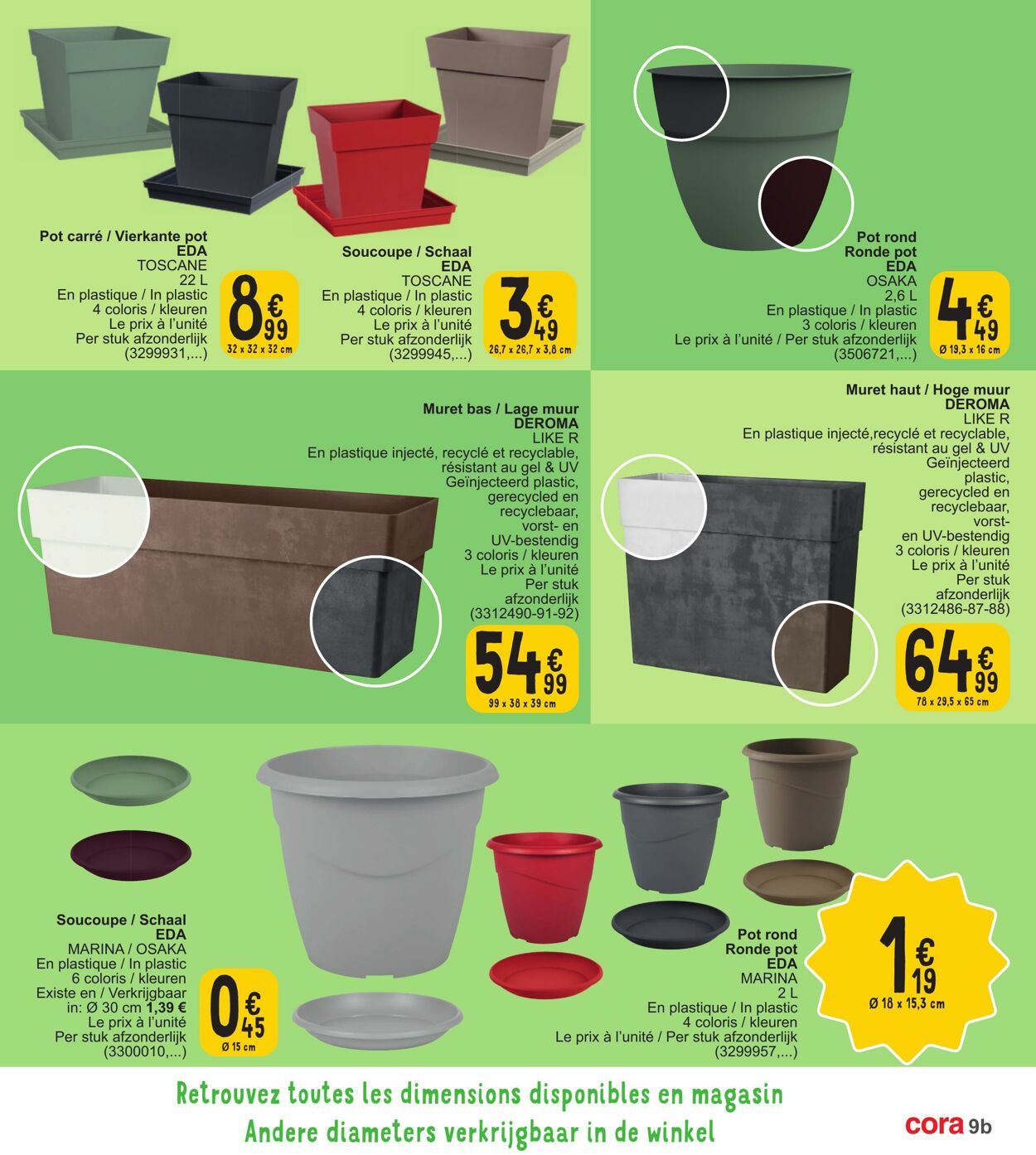 Folder Cora 05.03.2024 - 18.03.2024