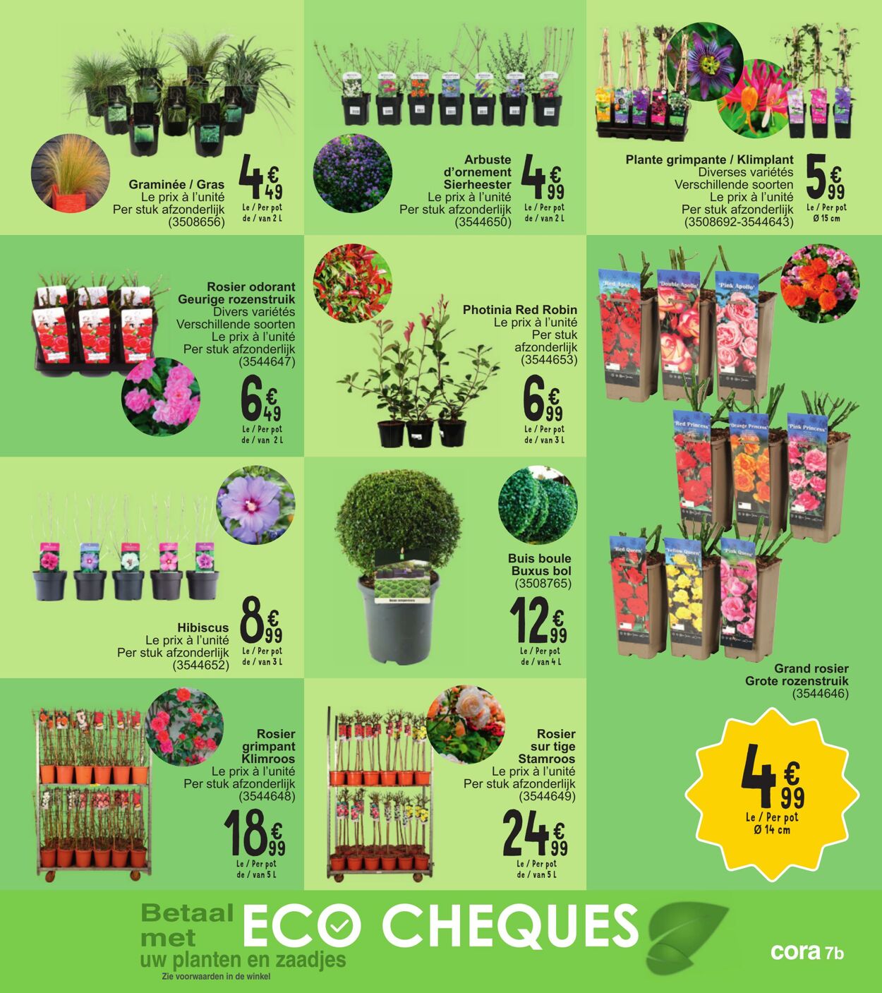 Folder Cora 05.03.2024 - 18.03.2024