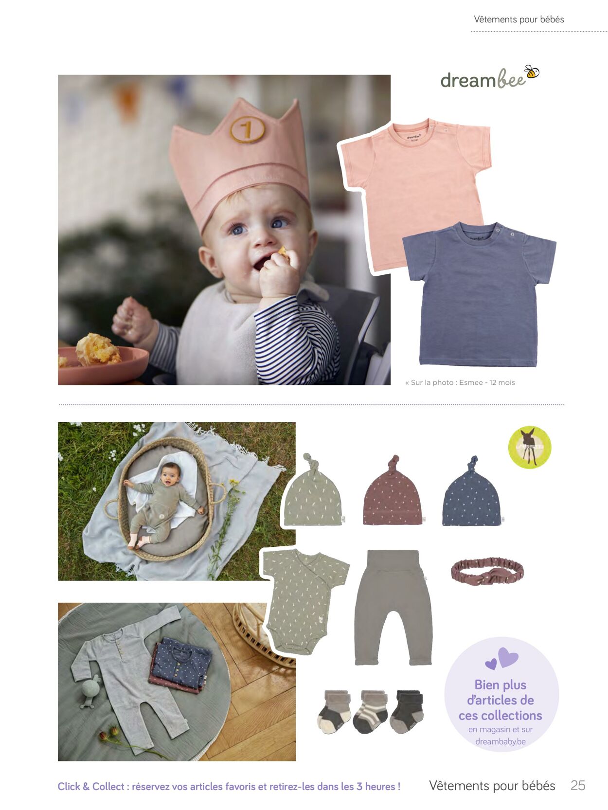 Folder Dreambaby 01.01.2023 - 30.06.2023