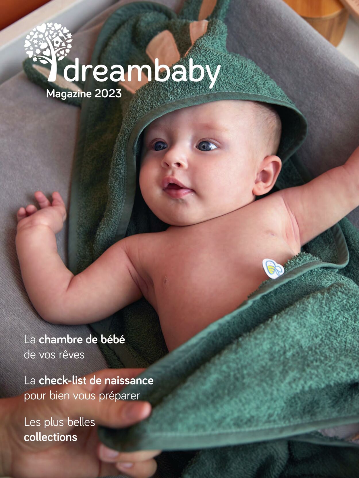 Folder Dreambaby 01.01.2023 - 30.06.2023