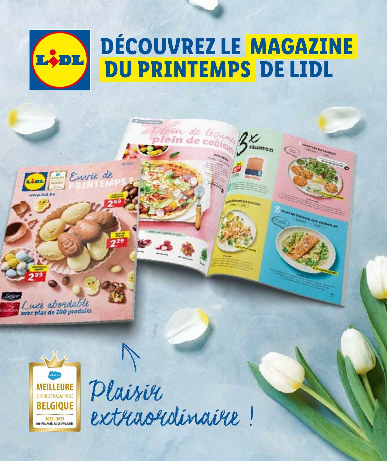 Folder Lidl 05.04.2023 - 11.04.2023