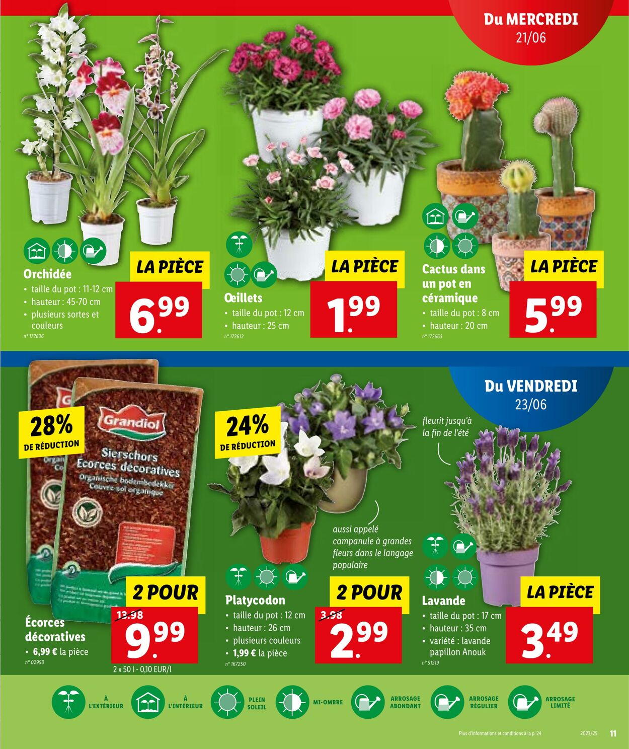 Folder Lidl 21.06.2023 - 27.06.2023