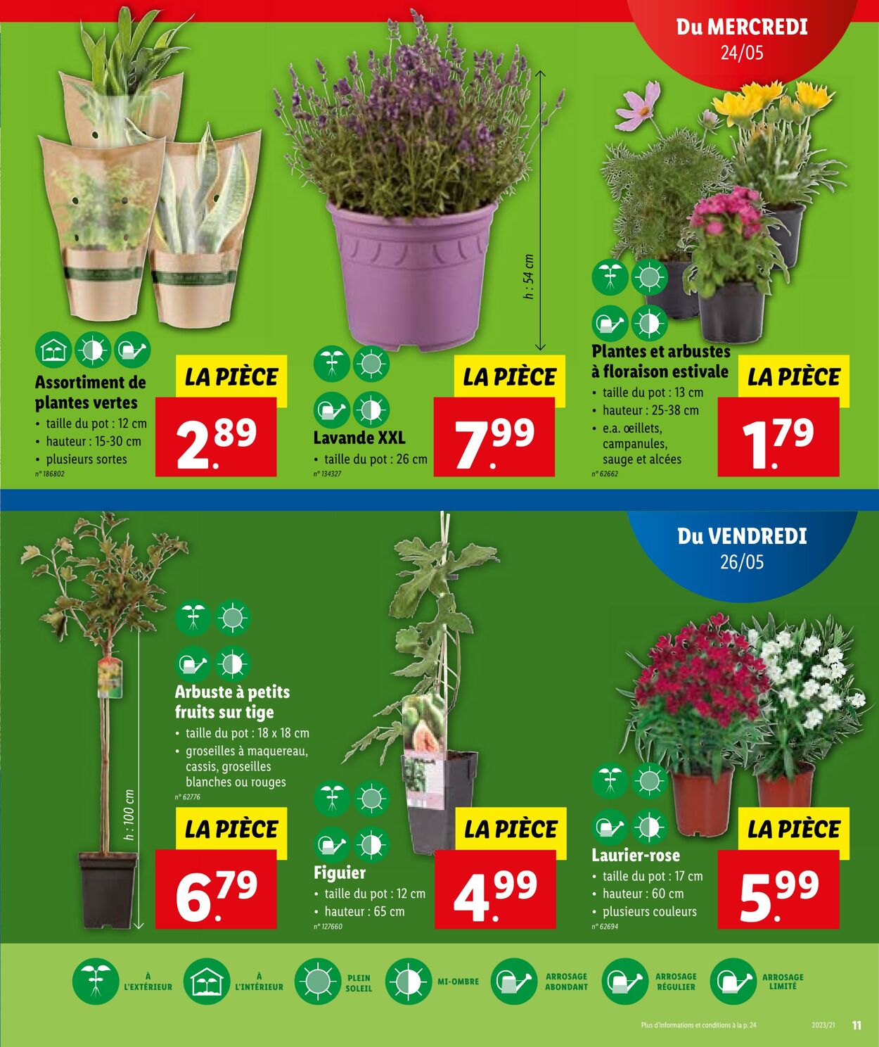 Folder Lidl 24.05.2023 - 30.05.2023