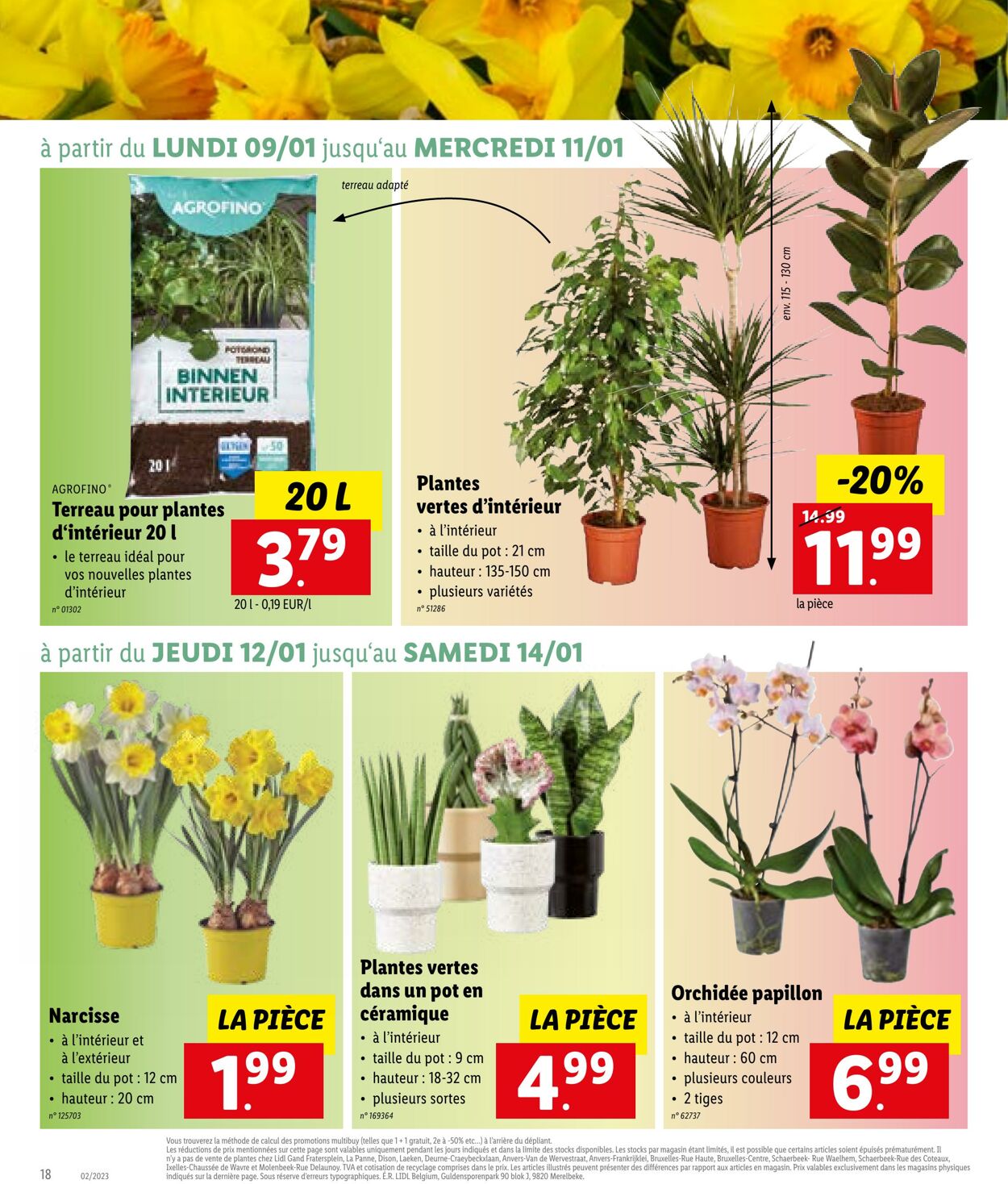 Folder Lidl 09.01.2023 - 14.01.2023