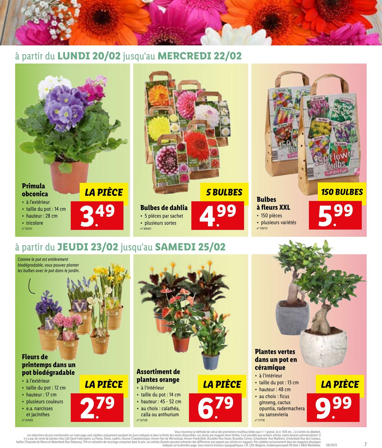 Folder Lidl 20.02.2023 - 25.02.2023