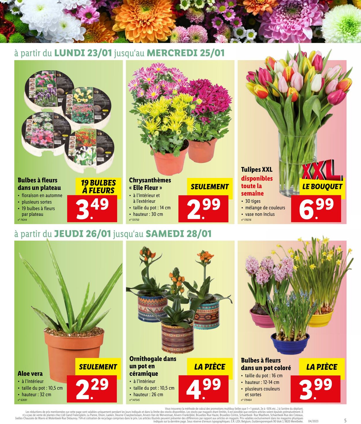 Folder Lidl 23.01.2023 - 28.01.2023