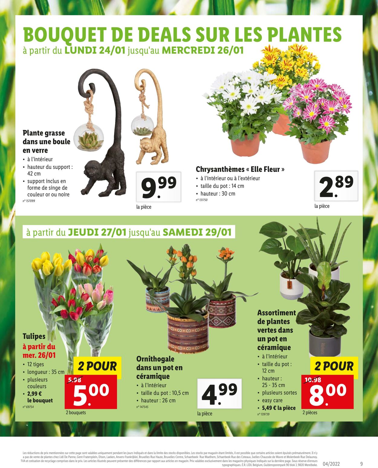 Folder Lidl 16.01.2022 - 30.01.2022